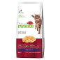 Trainer Natural Chat Adult au Poulet 10 kg