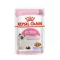 Royal Kitten Instinctive in Jelly 85 gr.