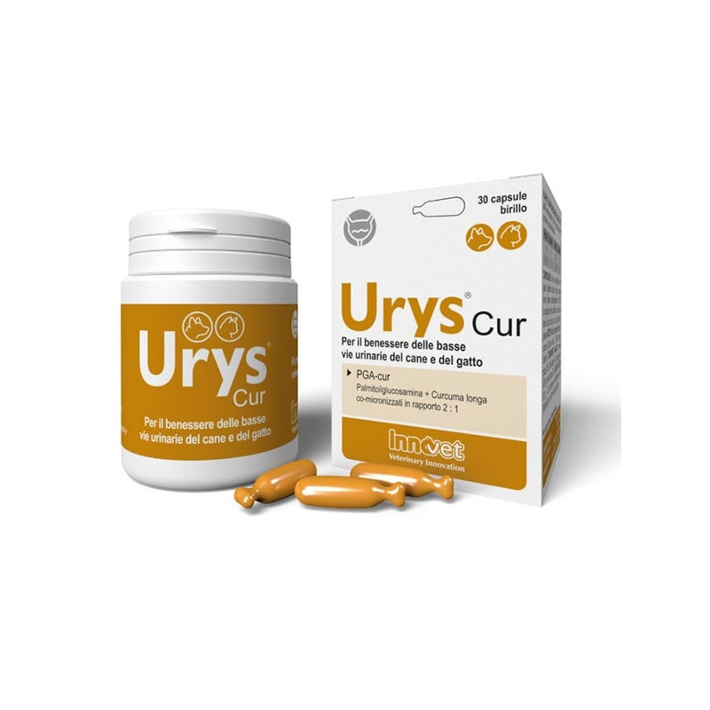 Innovet Urys Cur pack 30 Capsule Innovet Urys Cur pack 30 Capsule