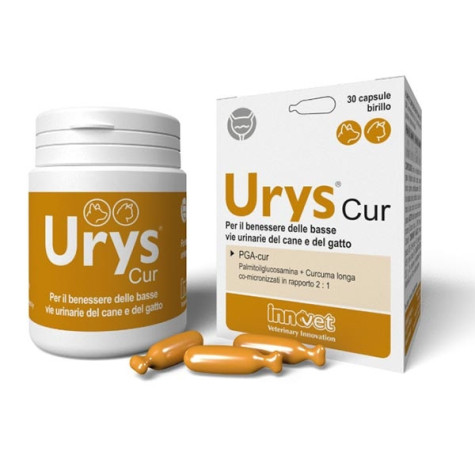 Innovet Urys Cur pack 30 Capsule