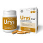 Innovet Urys Cur pack 30 Capsule