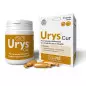 Innovet Urys Cur Pack 30 Capsules