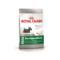 Royal Canin Mini Dermacomfort Cane 8 kg
