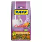 RAFF Carotino Flower 800 gr.