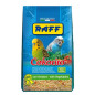 RAFF Cokorito 500 g