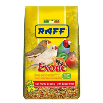 RAFF Exotic mit Fruchtkernen und Keks 500 gr.