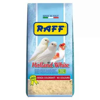 RAFF Holland White 1 kg.