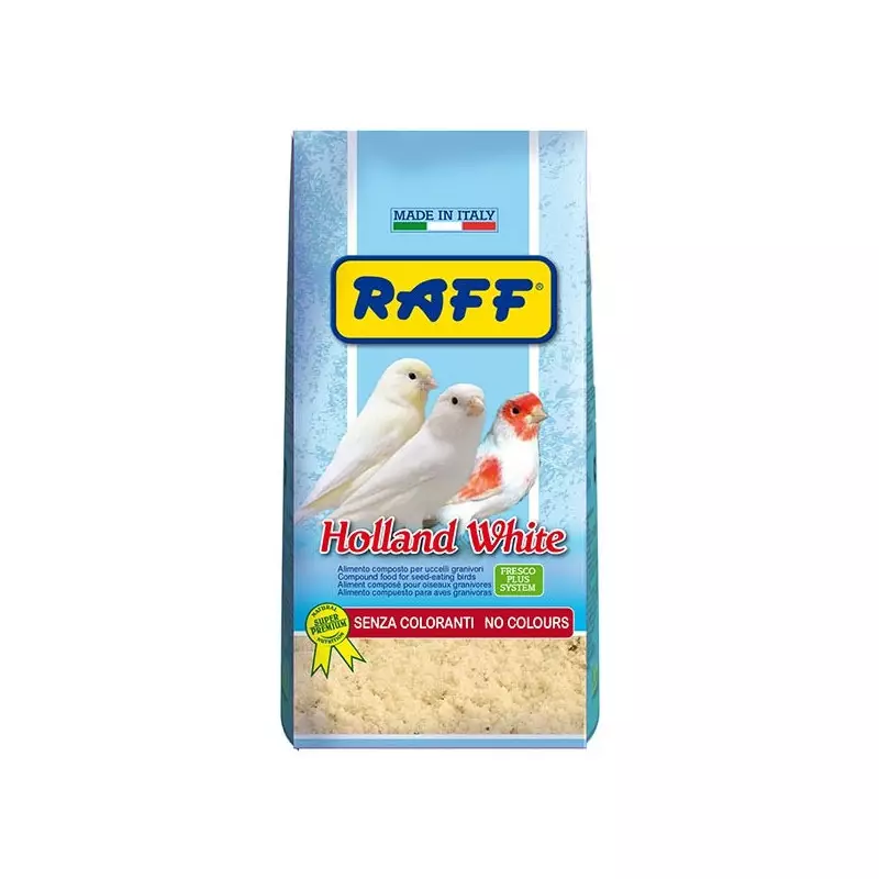 RAFF Holland White 1 kg.