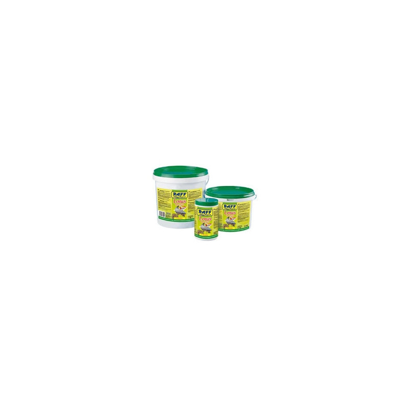 RAFF Lotus Pond stick 350 g