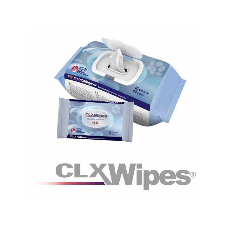 ICF Lingettes humides CLX Wipes Pocket 40 pièces ICF Lingettes humides CLX Wipes Pocket 40 pièces