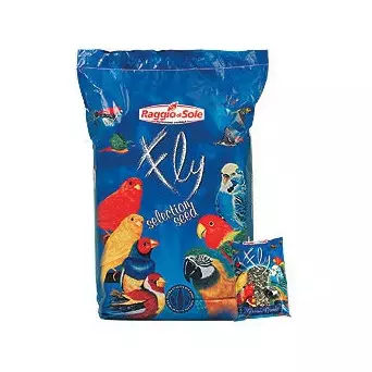 RAGGIO DI SOLE Girasole Striato Grande 500 gr. - 