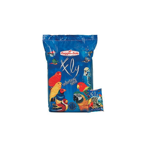 RAGGIO DI SOLE Girasole Striato Grande 500 gr. - 