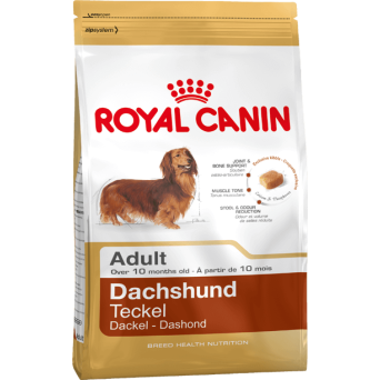ROYAL CANIN Dachshund - Bassotto da 7,5 kg - 