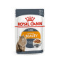 ROYAL CANIN Intense Beauty in Sauce 85 gr.