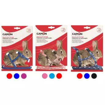 CAMON Rabbits