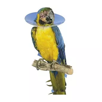 KRUUSE Elizabethan Collar for Birds 10 cm - Size S