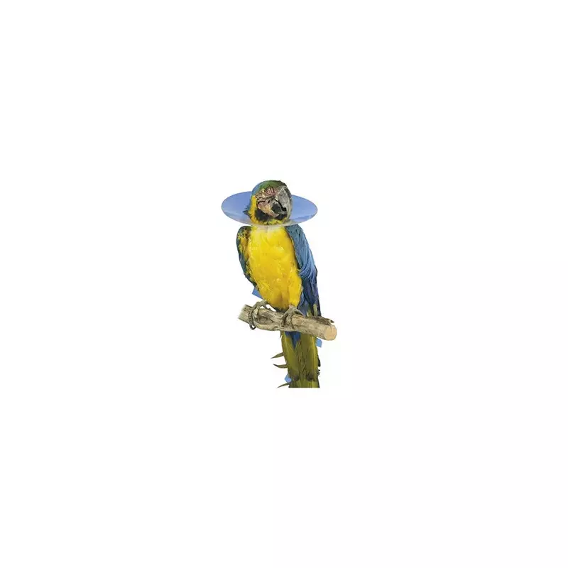 KRUUSE Elisabethanisches Vogelhalsband 10 cm - Größe S