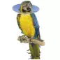 KRUUSE Elizabethan Collar for Birds 10 cm - Size S