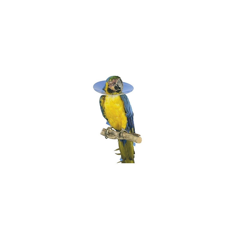 KRUUSE Collier élisabéthain pour Oiseaux da 14 cm - Taille M KRUUSE Collier élisabéthain pour Oiseaux da 14 cm - Taille M