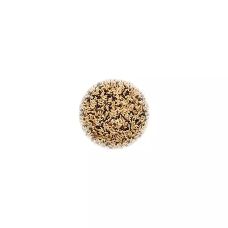 ALI' SEEDS Ali Food for Canaries Hobbyitalia 1 kg.