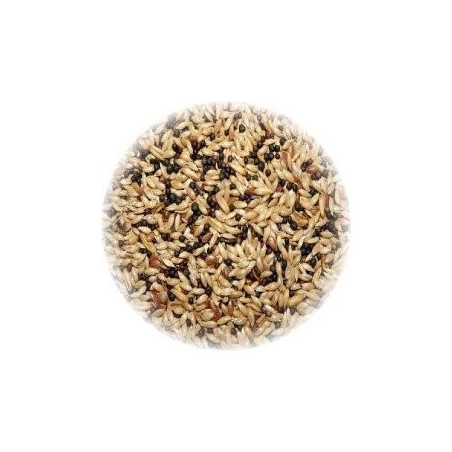 ALI' SEEDS Ali Mangime per Canarini Hobbyitalia 1 kg. - 