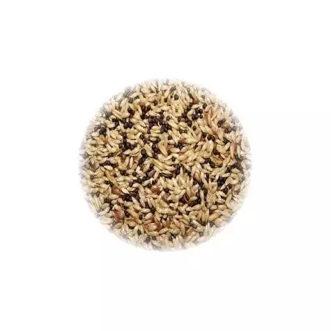 ALI' SEEDS Ali Mangime per Canarini Hobbyitalia 5 kg. - 