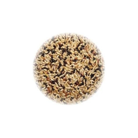 ALI' SEEDS Ali Mangime per Canarini Hobbyitalia 5 kg. -