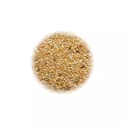 ALI' SEEDS Ali Mangime per Cocorite Universitalia Hobbyitalia 1 kg. - 