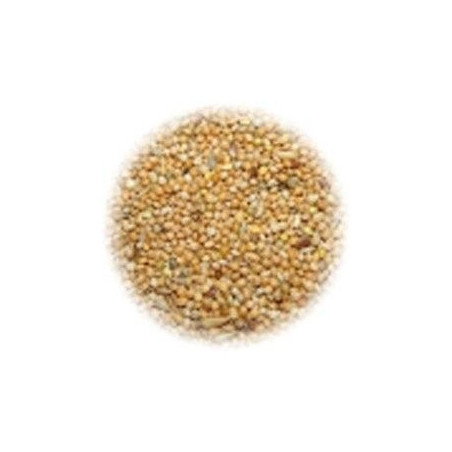 ALI' SEEDS Ali Mangime per Cocorite Universitalia Hobbyitalia 1 kg. - 