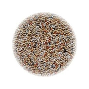 ALI' SEEDS Ali Mangime per Esotici Extra 1 kg. -