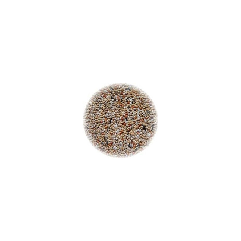 ALI' SEEDS Ali Mangime per Exotiques Extra 1 kg.