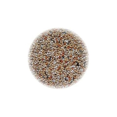 ALI' SEEDS Ali Mangime per Esotici Extra 1 kg. -