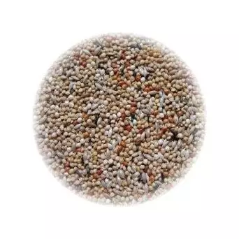 ALI' SEEDS Ali Extra Exotisches Futter 5 kg.