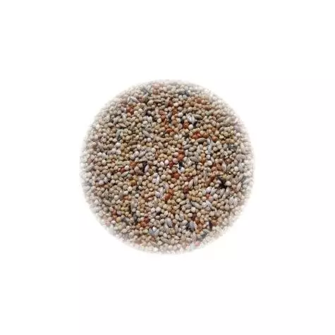 ALI' SEEDS Ali Extra Exotisches Futter 5 kg.