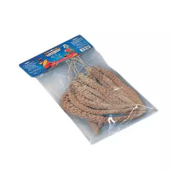 RAGGIO DI SOLE Fly Selection Seed Spiga Panico Toscana 250 gr.