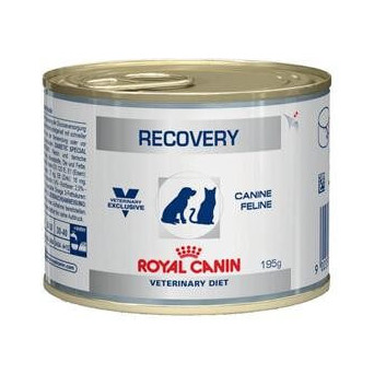 royal canin recovery 195gr - 