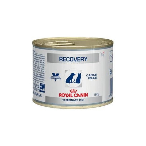 royal canin recovery 195 g