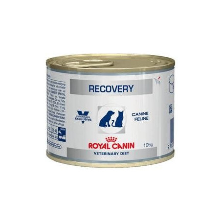 royal canin recovery 195gr - 