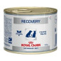 royal canin recovery 195 g