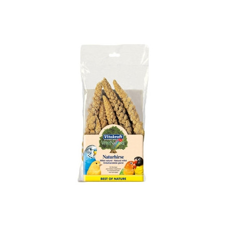 VITAKRAFT Spighe di Panico 100 gr. - 