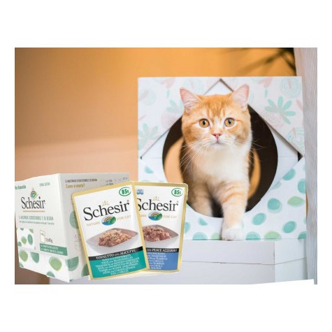 Schesir Gatto Multipack Ecosostenibile con Cuccie (gusto Tonneto e ananas  e Tonneto e mela) 1 set/2 cuccie + 12 bustine