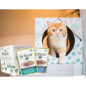 Schesir Cat Multipack Umweltfreundlich mit Kätzchen (Tonneto und Ananas und Tonneto und Apfelgeschmack) 1 Set / 2 Zwinger + 12 B