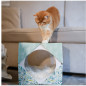 Schesir Cat Multipack Umweltfreundlich mit Kätzchen (Tonneto und Garnelen und Tonneto und Papayageschmack) 1 Set / 2 Zwinger + 1