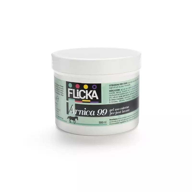 BIOEQUIPE Arnica 99 Phytoderivat-Kosmetikgel 500 ml.