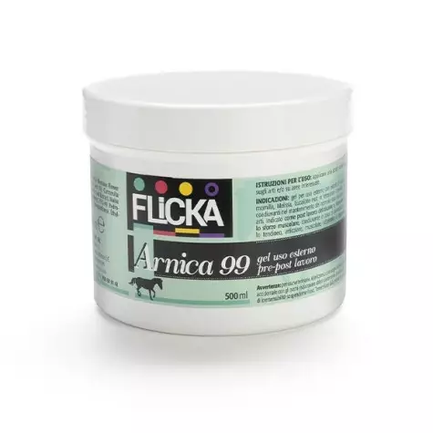 BIOEQUIPE Arnica 99 Phytoderivat-Kosmetikgel 500 ml.