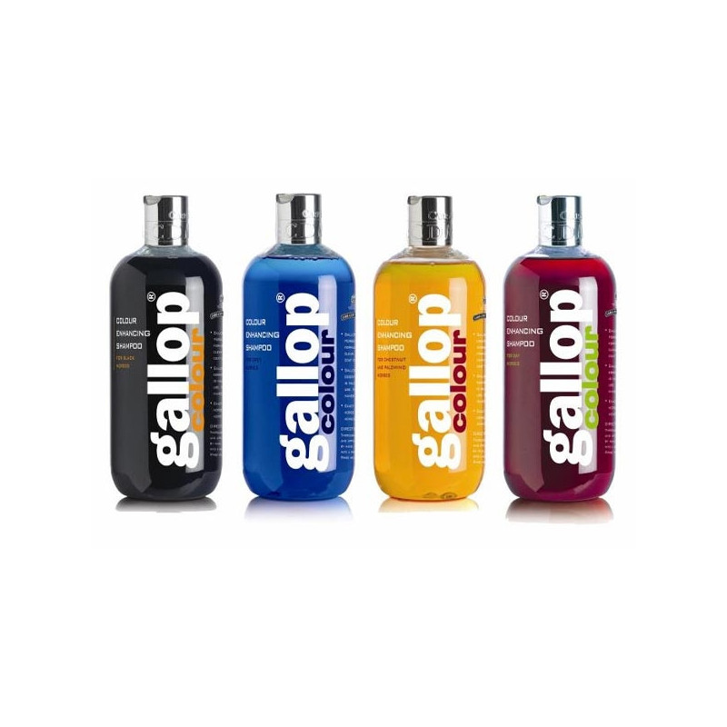CARR & DAY & MARTIN Galopp Farbverstärkendes Shampoo Kastanie und Palomino 500 ml.