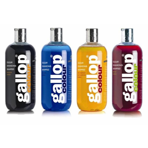 CARR & DAY & MARTIN Galopp Farbverstärkendes Shampoo Kastanie und Palomino 500 ml.