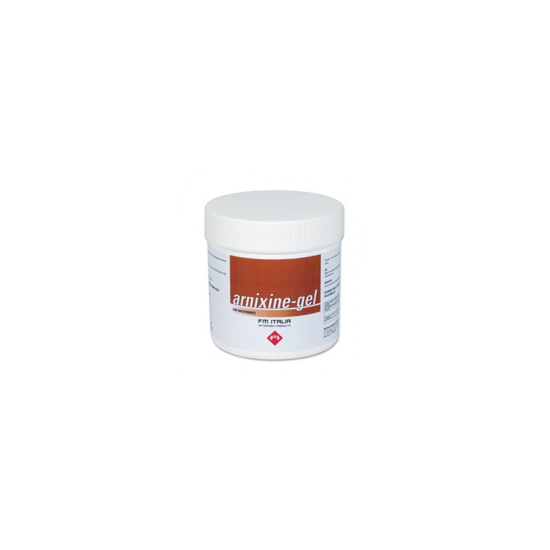 FM ITALIA Arnixine Gel 3 L. FM ITALIA Arnixine Gel 3 L.