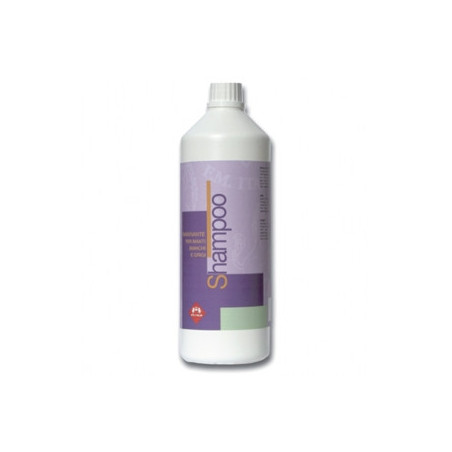 FM ITALIA Shampoo a Secco per Manti Grigi 500 ml. - 