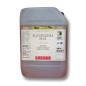 PEARSON GUGLIELMO Equizema 5 L.